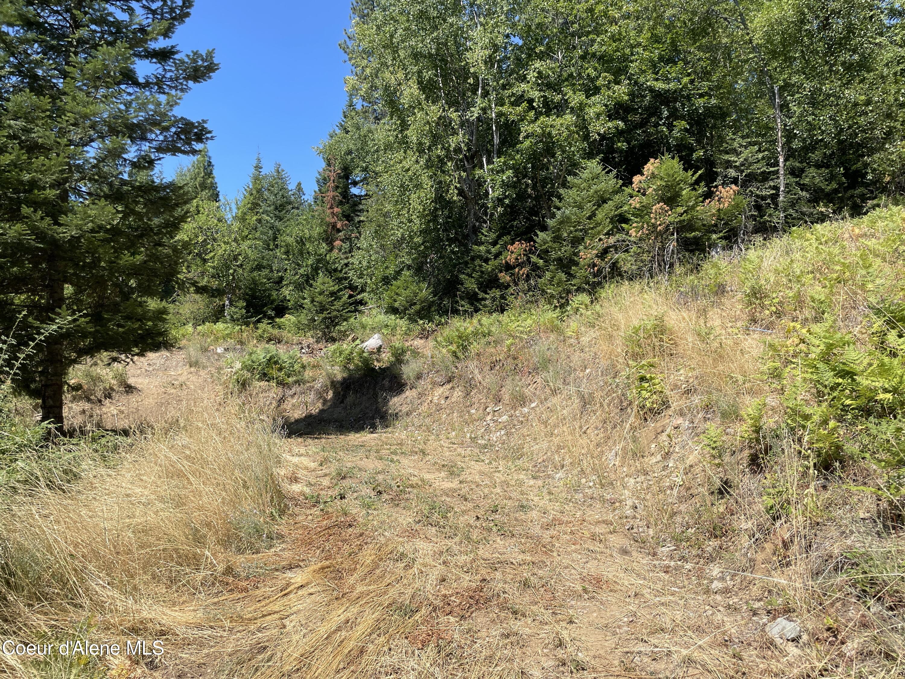 NNA Enchanted Forest Trail, Hope, Idaho image 12