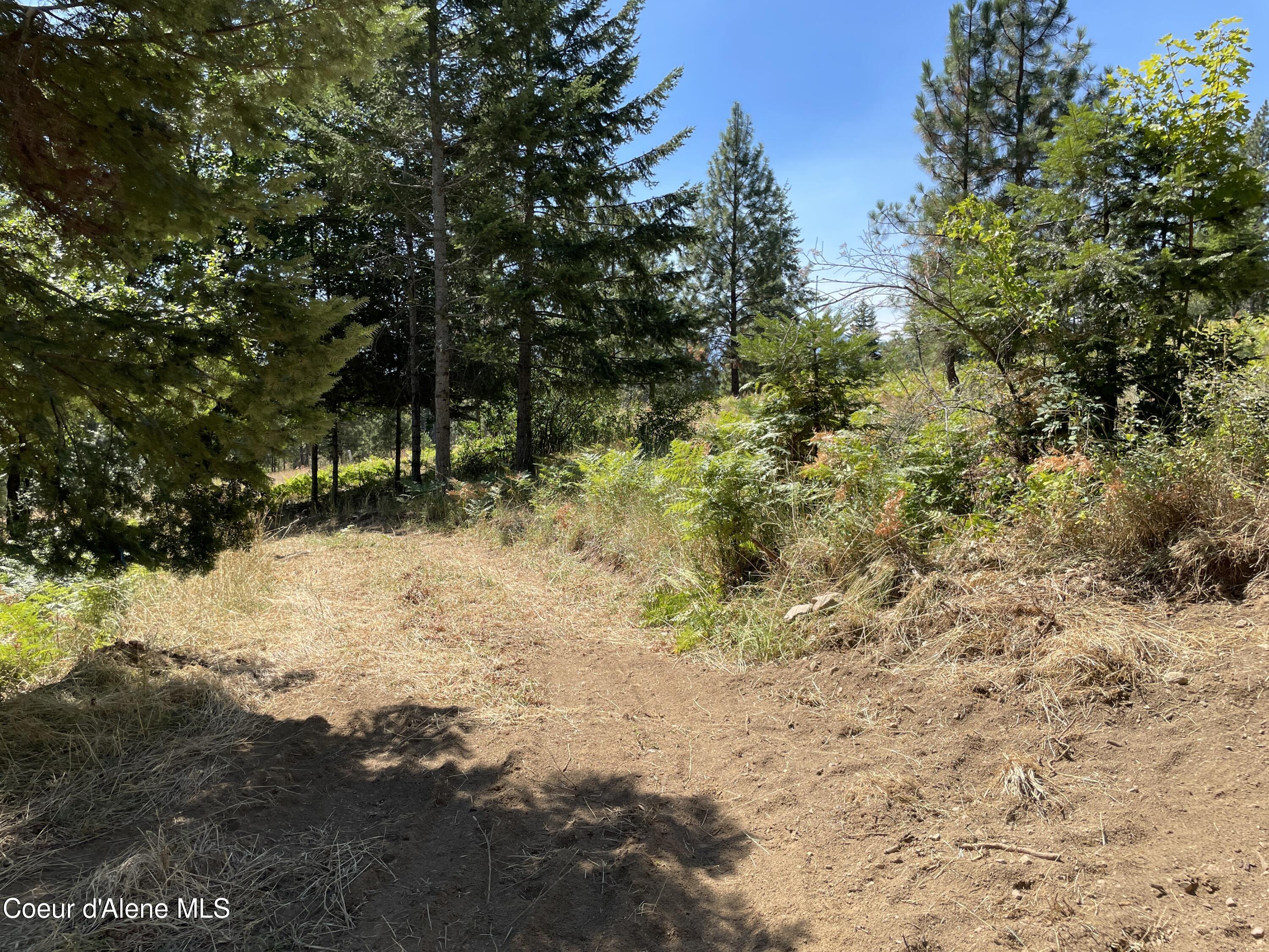 NNA Enchanted Forest Trail, Hope, Idaho image 14