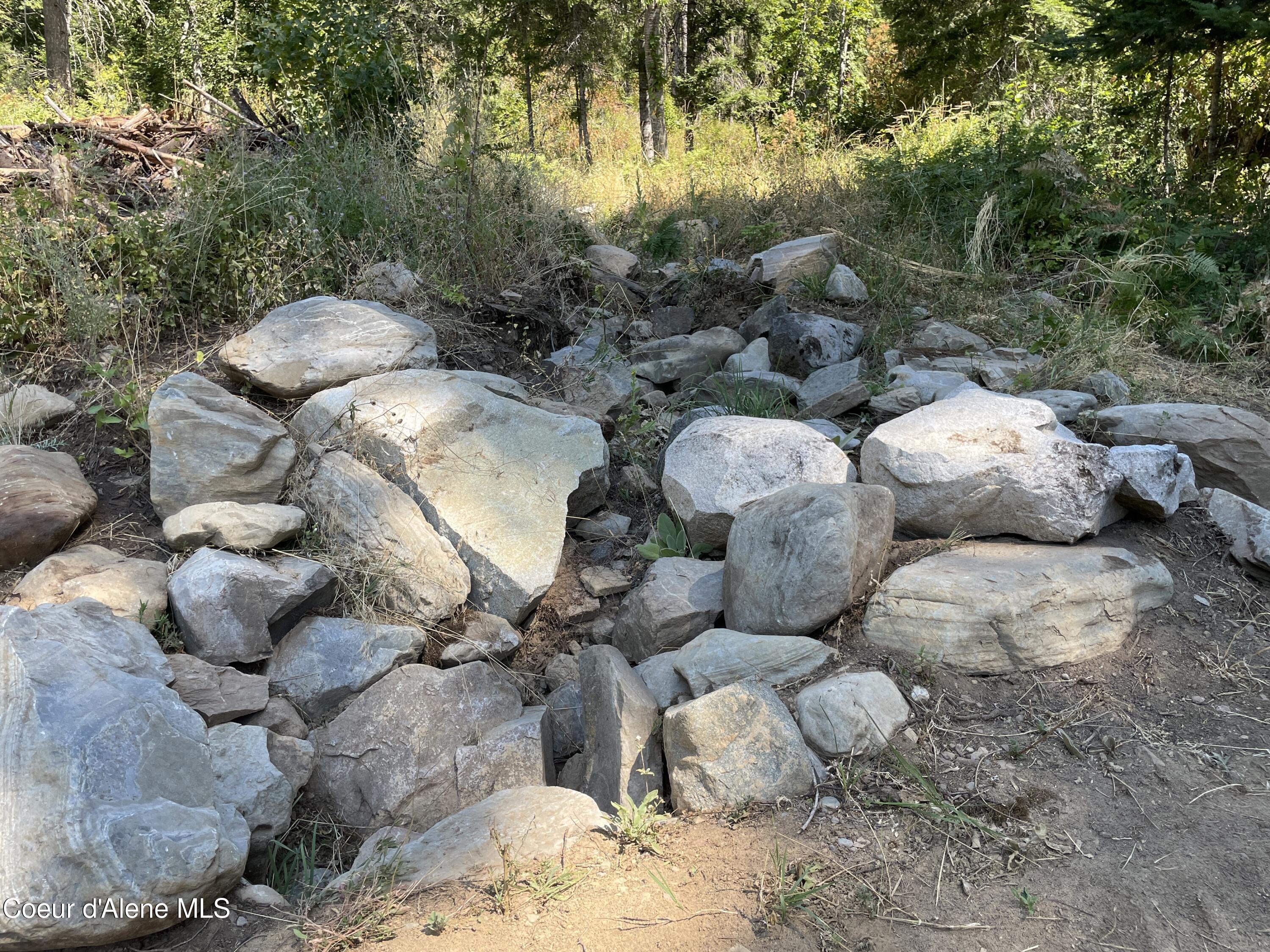 NNA Enchanted Forest Trail, Hope, Idaho image 11