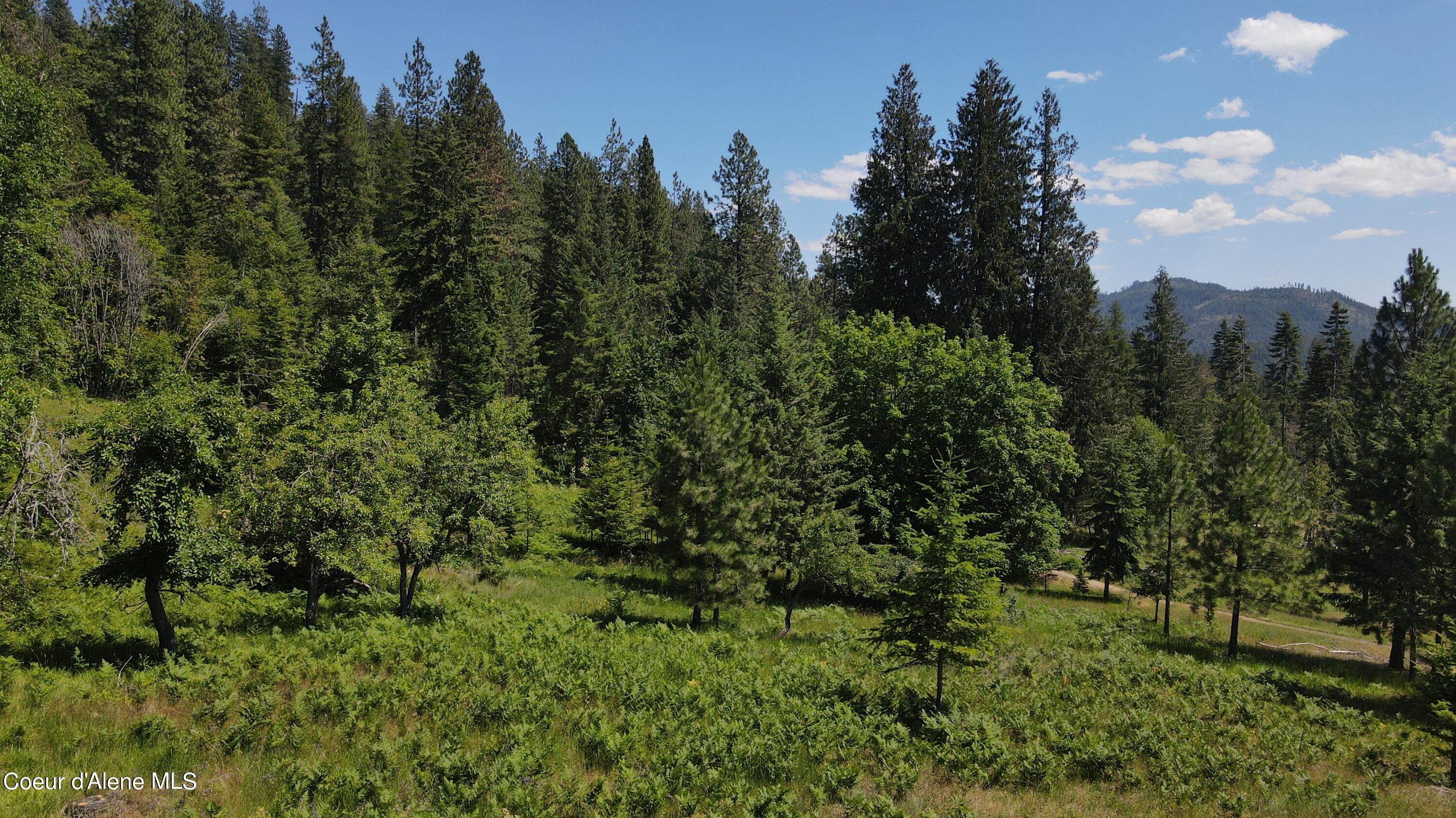 NNA Enchanted Forest Trail, Hope, Idaho image 46
