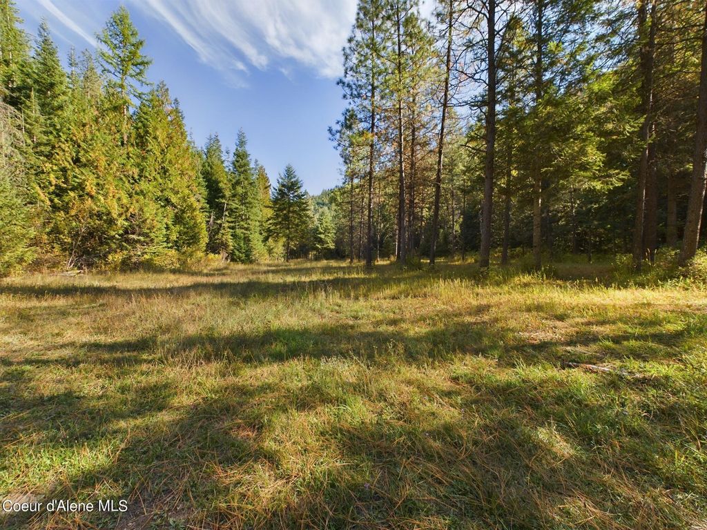 Photo of 2905 Bear Creek Creek, Kingston, ID 83839 (MLS # 25-9973)