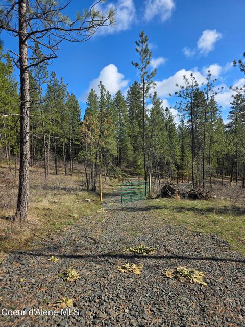 Vacant Land For Sale - NNA Shady<br/> Benewah County, Desmet, ID 83824
