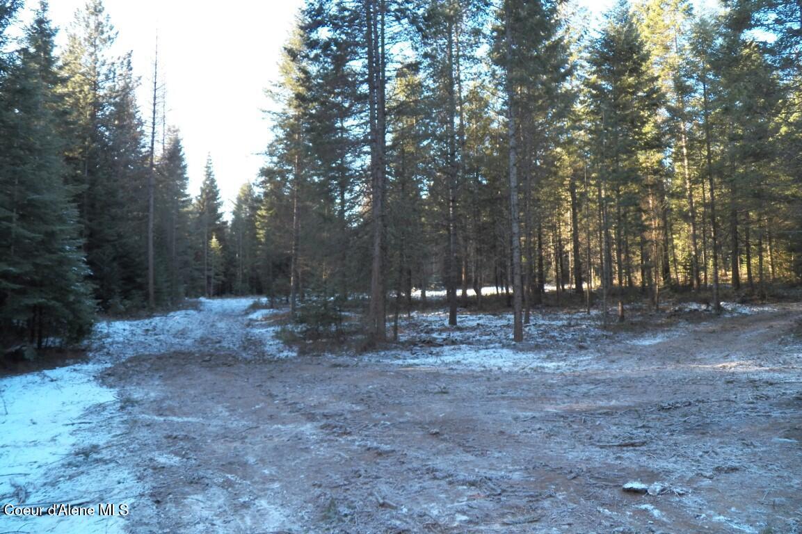 NNA Huckleberry Mtn. Road, Careywood, Idaho image 3