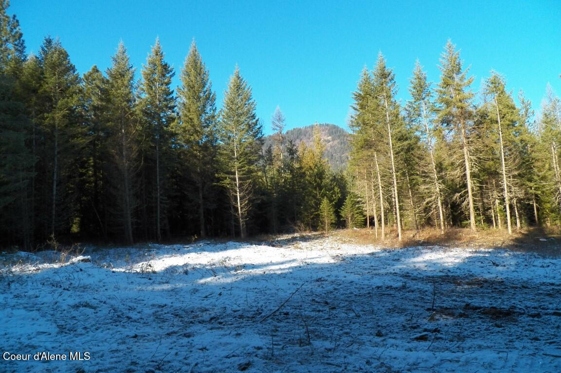 NNA Huckleberry Mtn. Road, Careywood, Idaho image 8