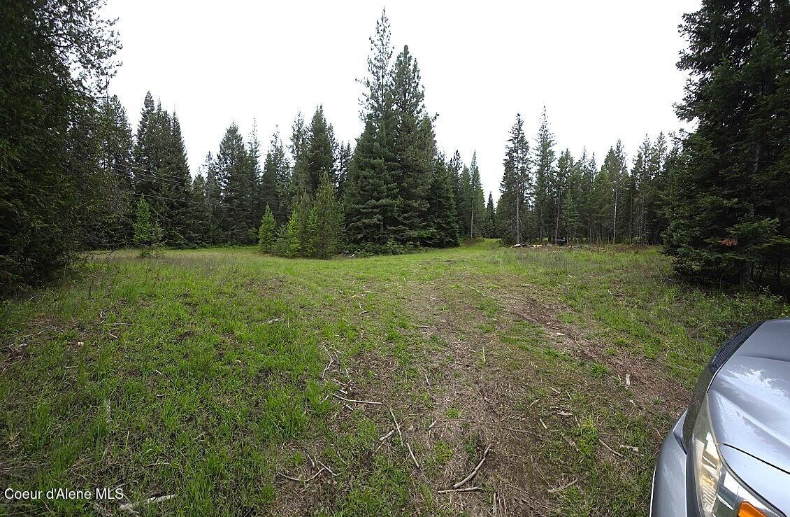NNA Huckleberry Mtn. Road Road, Careywood, Idaho image 3