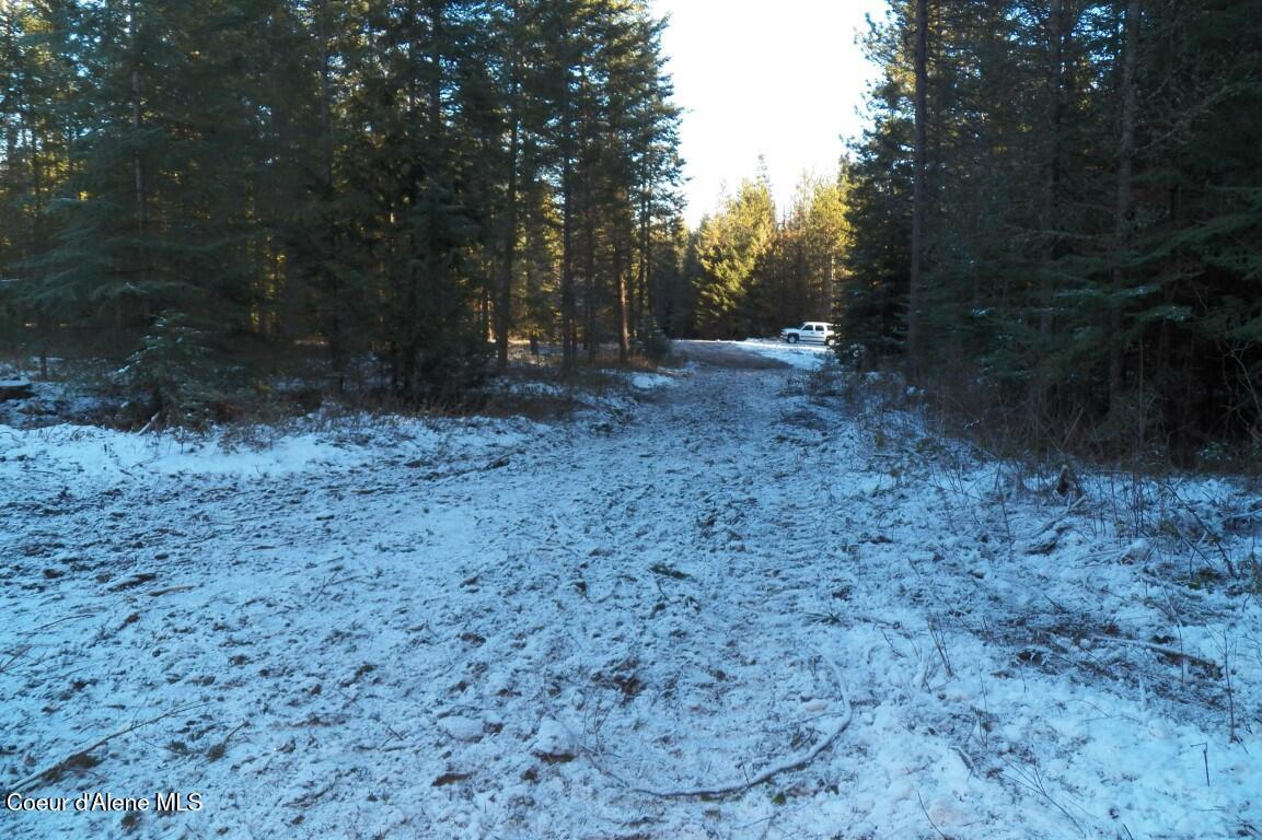 NNA Huckleberry Mtn. Road, Careywood, Idaho image 9