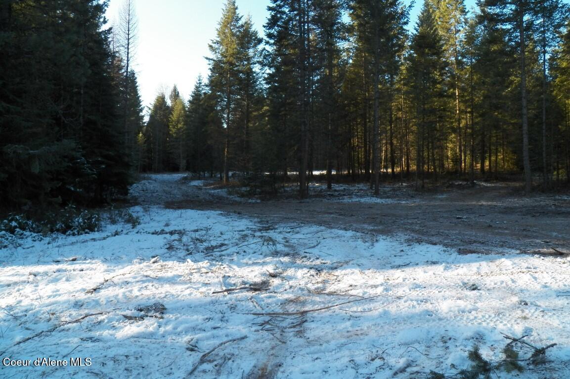 NNA Huckleberry Mtn. Road, Careywood, Idaho image 7