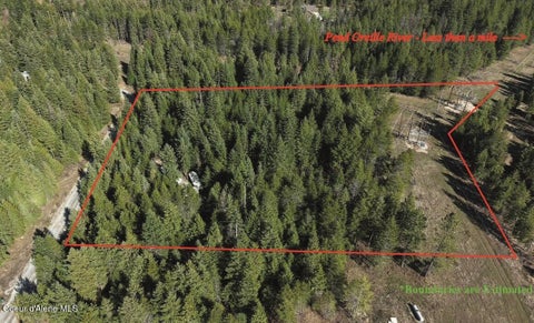 Vacant Land For Sale - 127 Lions Rd<br/> Priest River, ID 83856