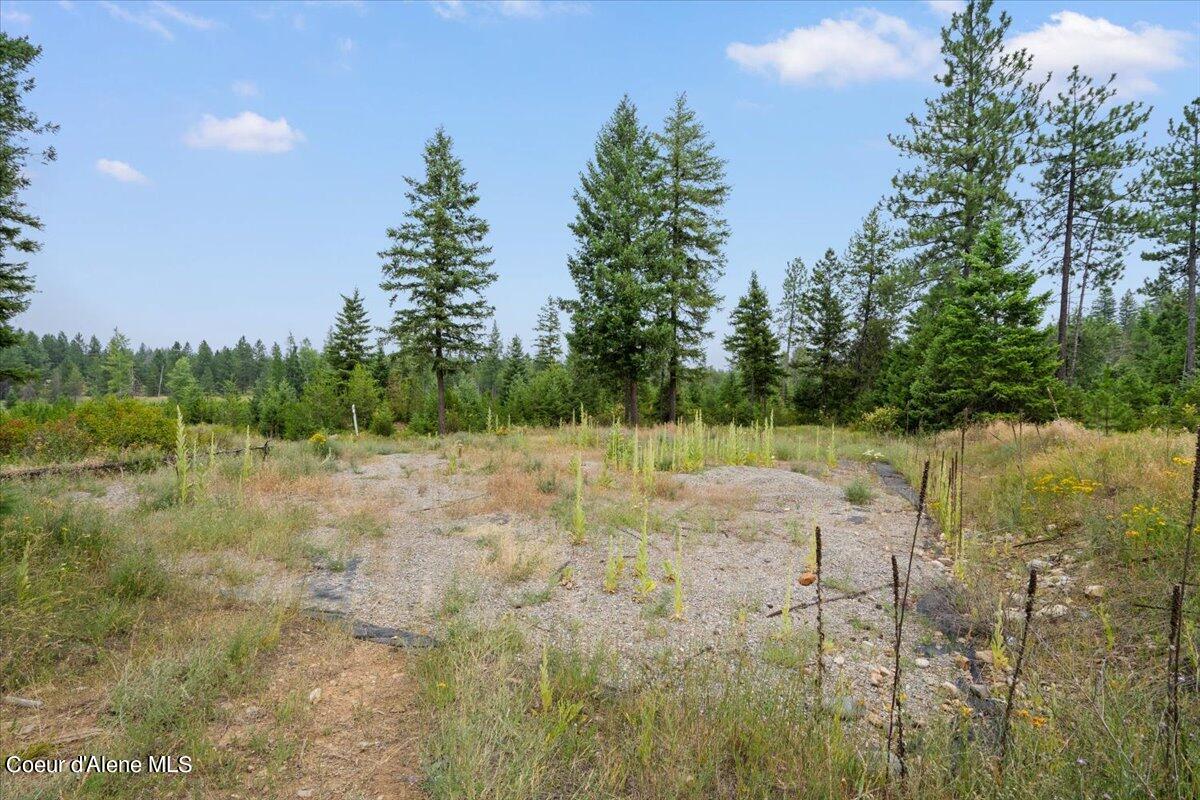 L2 Mara Meadows, Athol, Idaho image 7