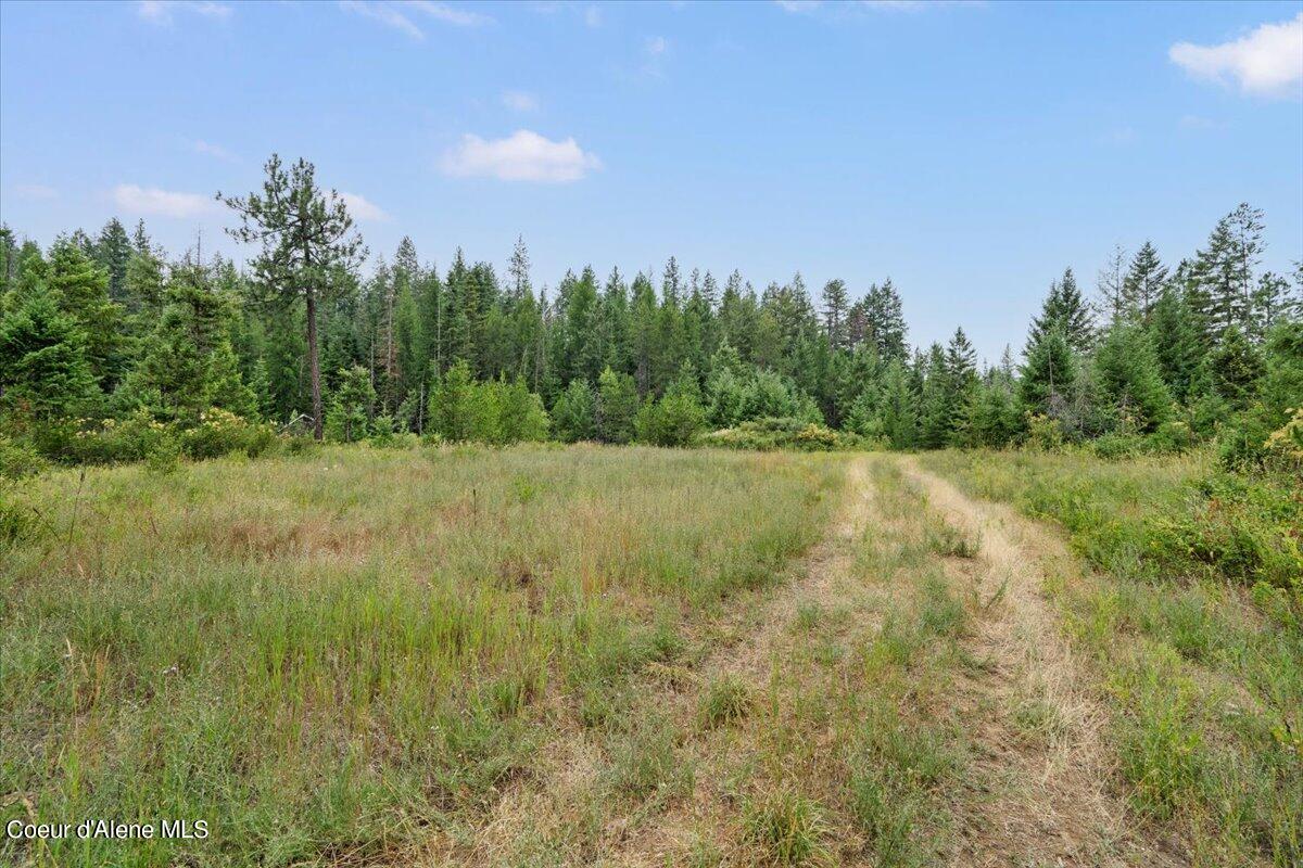 L2 Mara Meadows, Athol, Idaho image 15