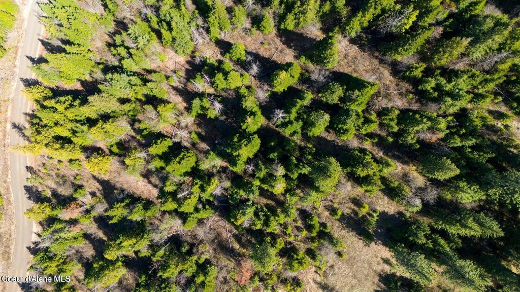 Photo of Lot 9 Lone Moose Dr Dr, Plummer, ID 83851 (MLS # 26-3191)