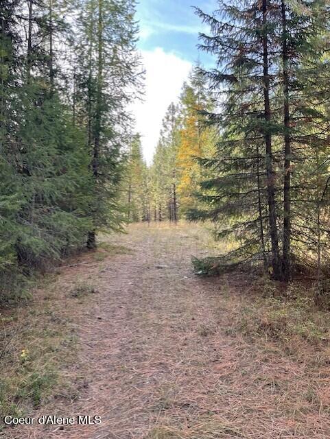 NKA Old Highway Two Loop, Moyie Springs, Idaho image 45