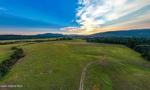 Vacant Land For Sale - 46+/- Acres Peninsula Road Road<br/> Priest River, ID 83856