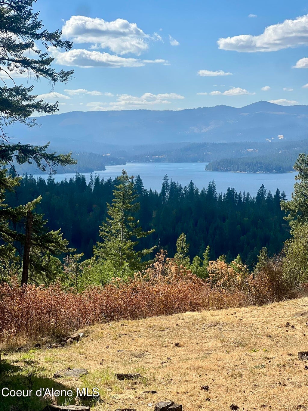Photo of 8983 Gozzer RD, Harrison, ID 83833 (MLS # 26-8924)