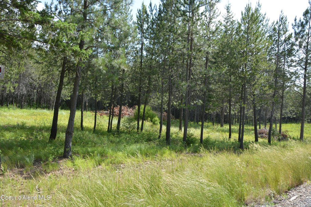 Photo of NKA SYLVAN ROAD Road, Athol, ID 83801 (MLS # 25-6341)