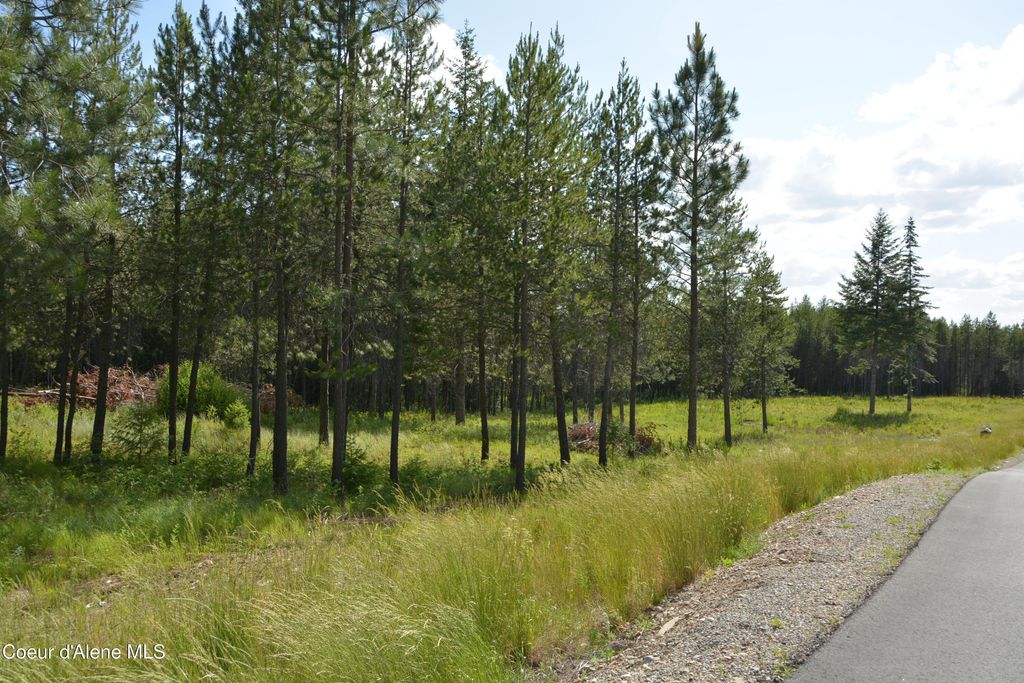 Photo of NKA SYLVAN ROAD Road, Athol, ID 83801 (MLS # 25-6341)
