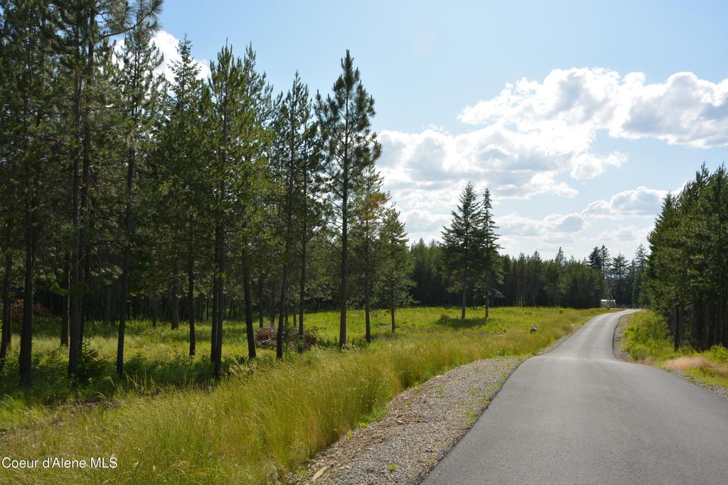 Photo of NKA SYLVAN ROAD Road, Athol, ID 83801 (MLS # 25-6341)