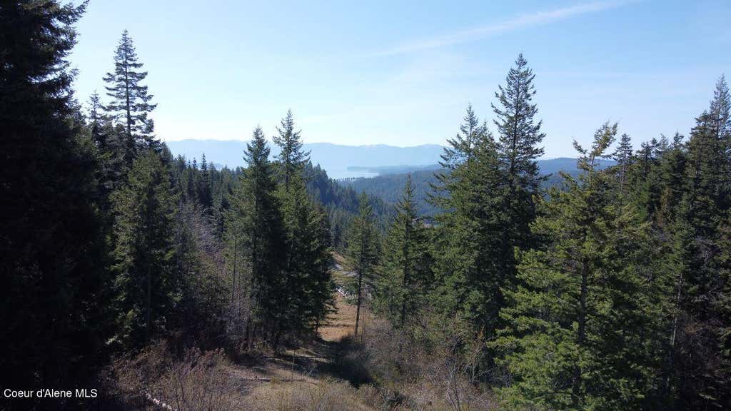 Photo of NNA Green Monarch Lane Lane, Sandpoint, ID 83864 (MLS # 26-8694)