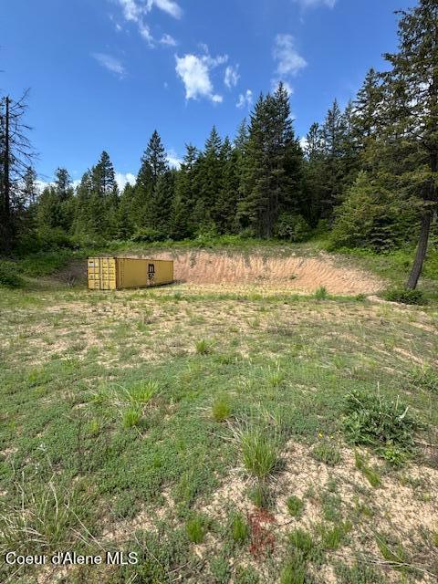 N Rawhide Drive, Plummer, Alaska image 2