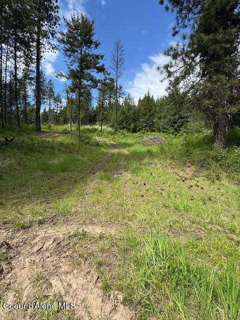 N Rawhide Drive, Plummer, Alaska image 1