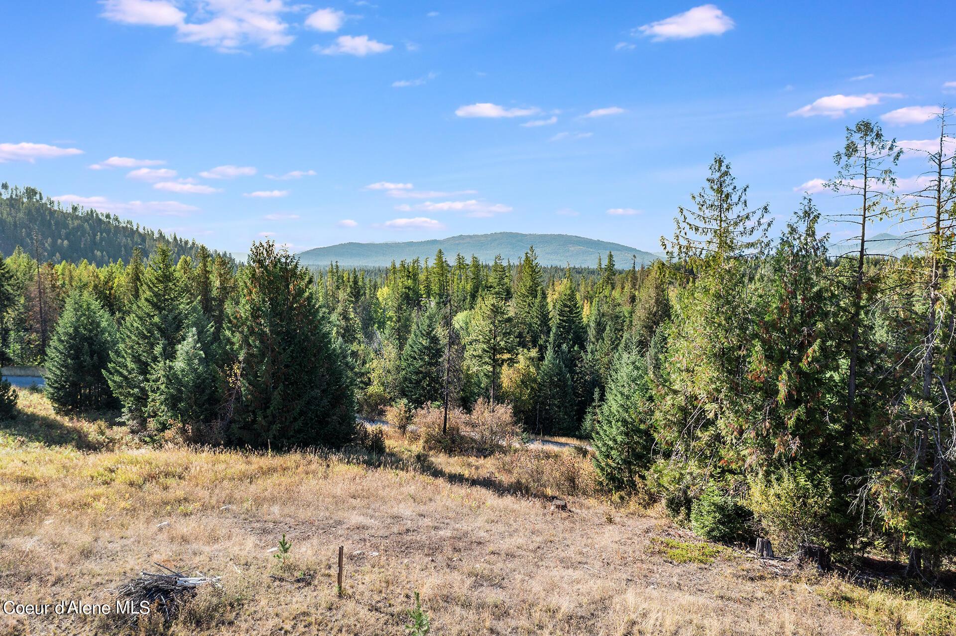 NKA Lewis Trail, Lot 3 Avenue, Sagle, Texas image 19