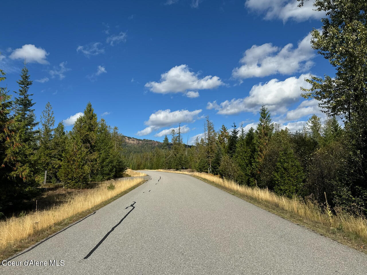 NKA Lewis Trail, Lot 3 Avenue, Sagle, Texas image 8