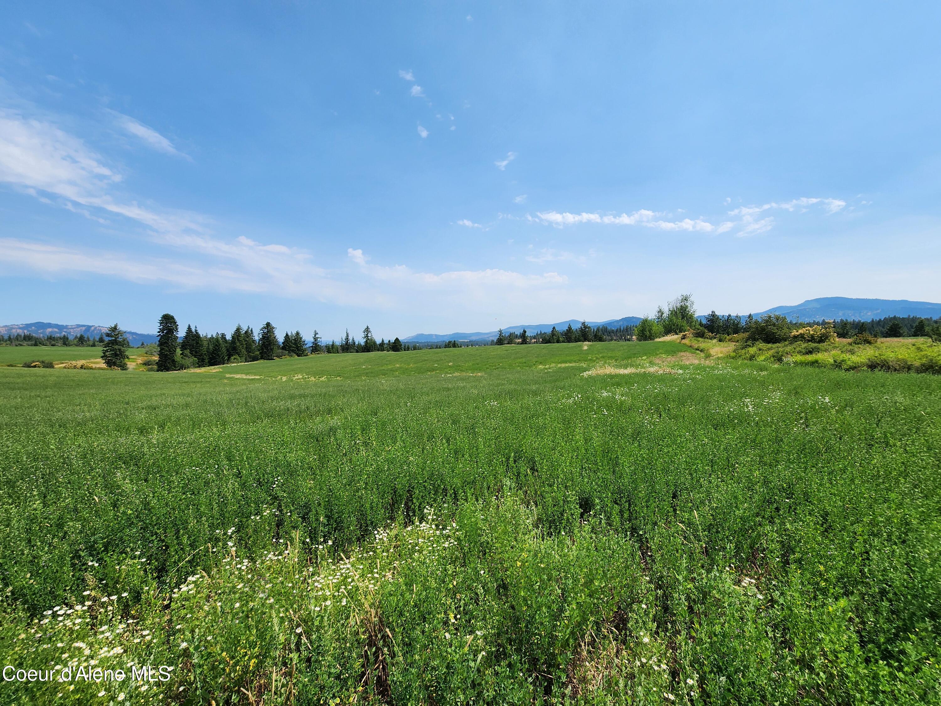 7375 E Sunrise Dr, Harrison, Alaska image 33