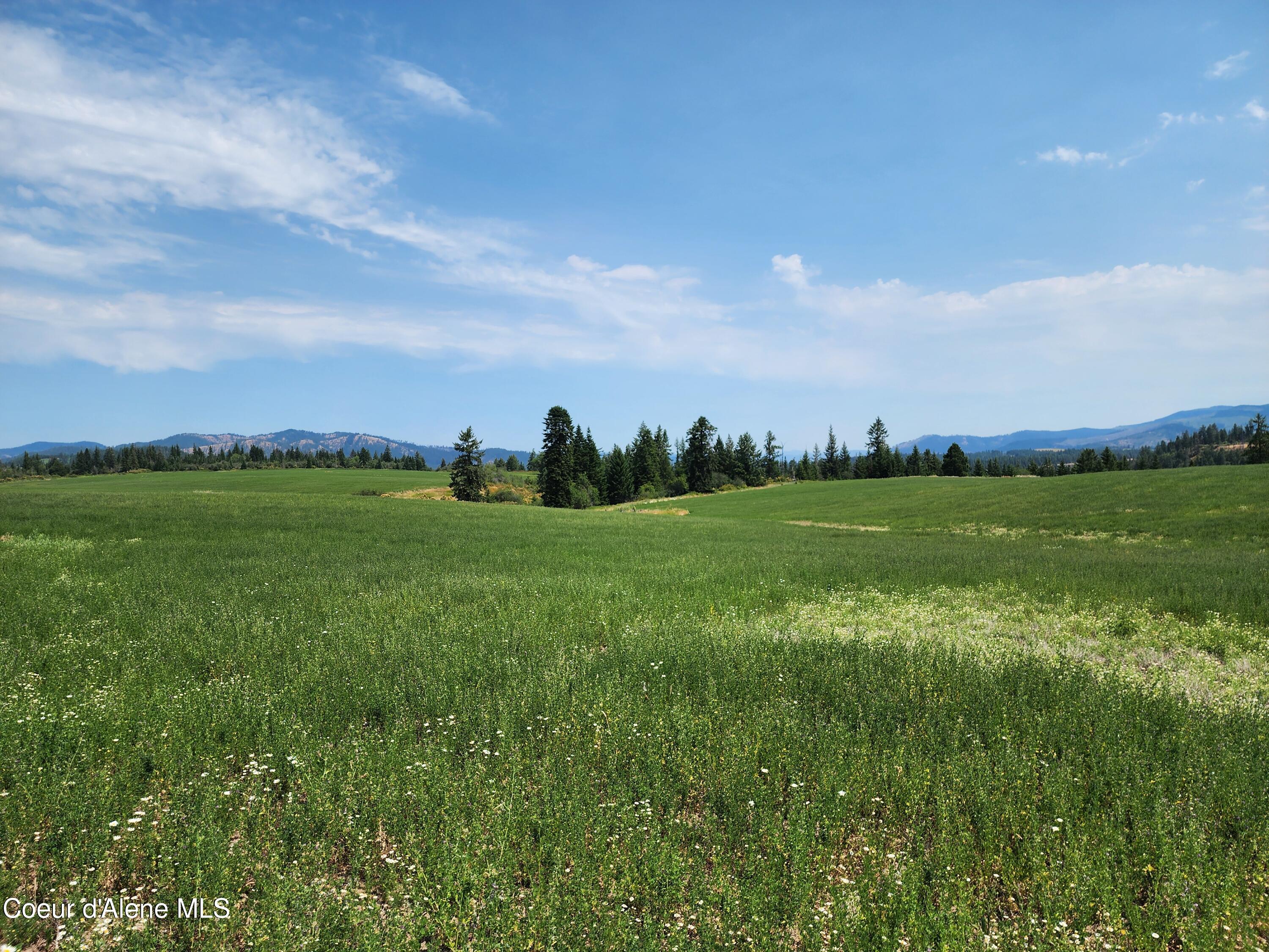 7375 E Sunrise Dr, Harrison, Alaska image 30