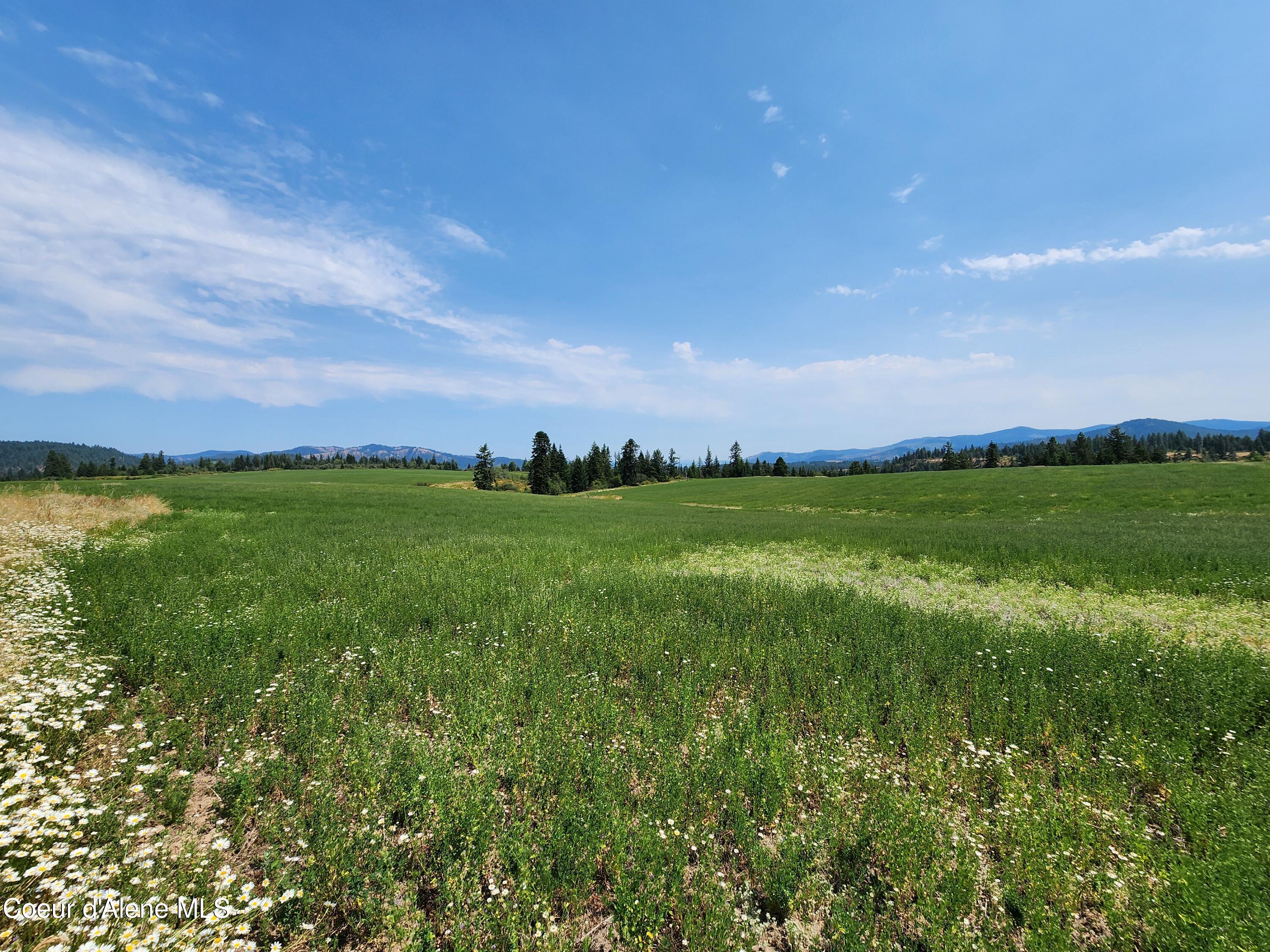 7375 E Sunrise Dr, Harrison, Alaska image 31