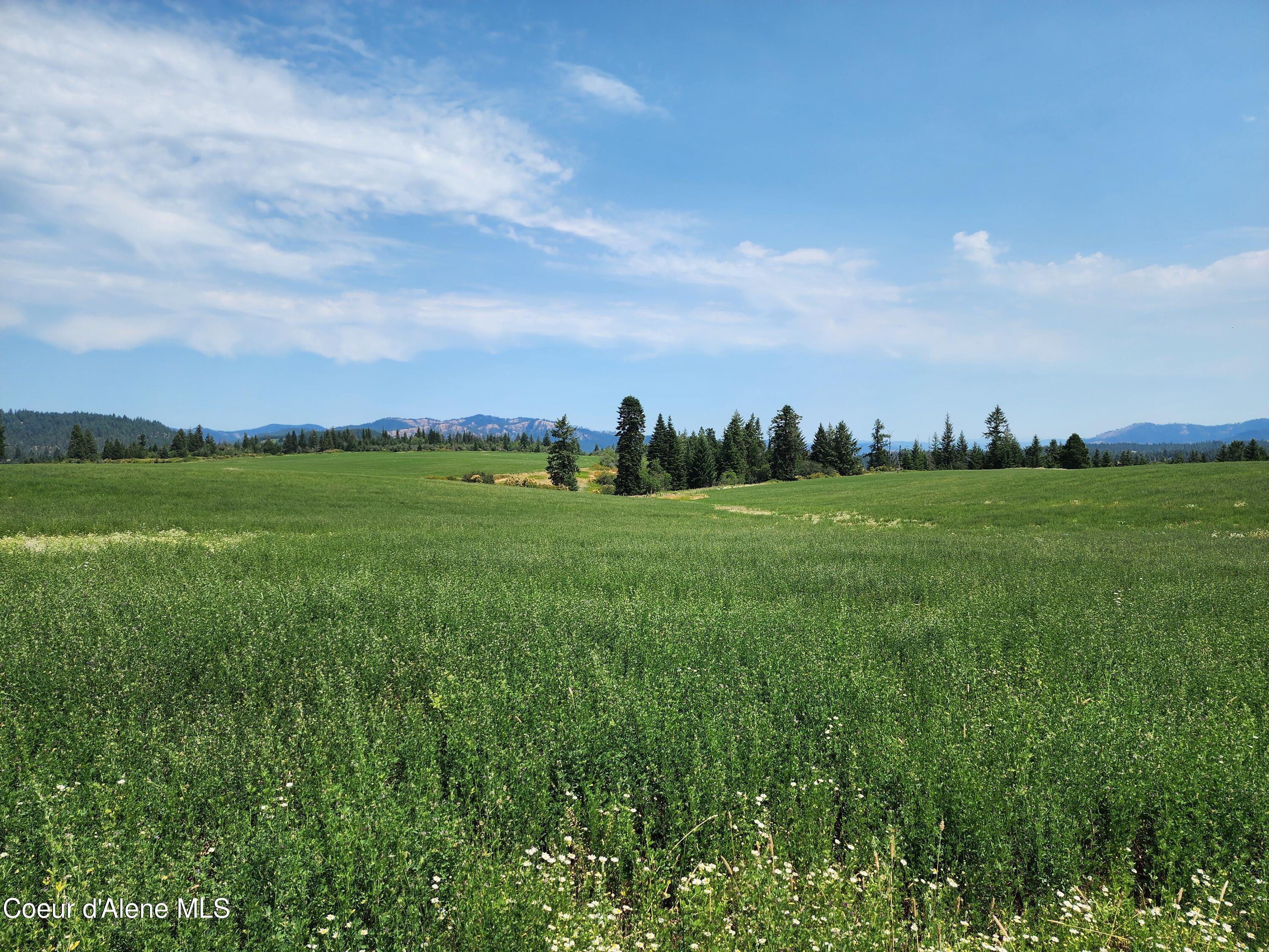 7375 E Sunrise Dr, Harrison, Alaska image 35