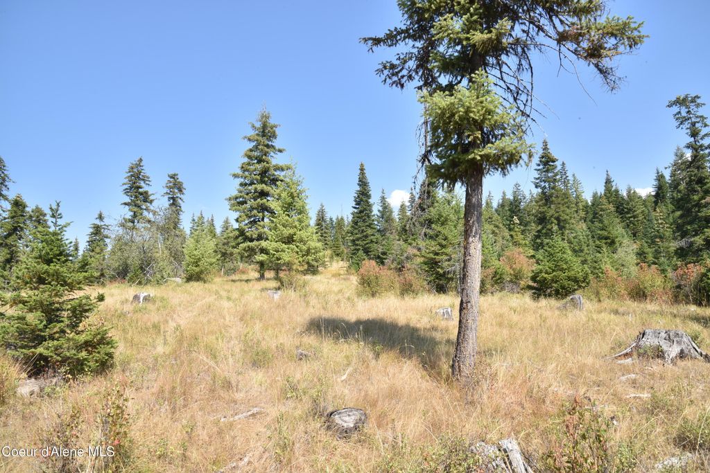 Photo of NNA Carpenter Creek Creek, Fernwood, ID 83830 (MLS # 26-3034)