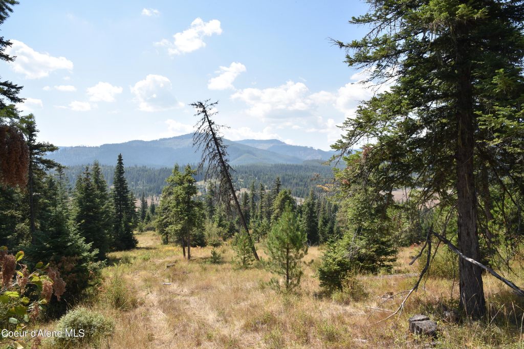 Photo of NNA Carpenter Creek Creek, Fernwood, ID 83830 (MLS # 26-3034)