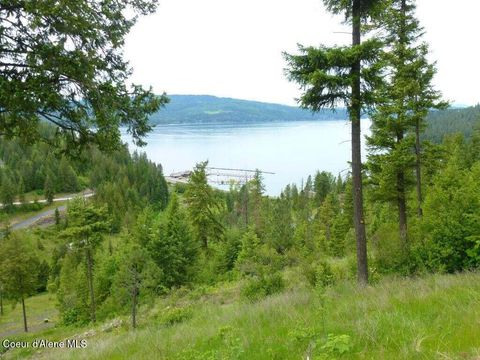 Vacant Land For Sale - LOT 6 Flying Eagle Dr Dr<br/> Harrison, ID 83833
