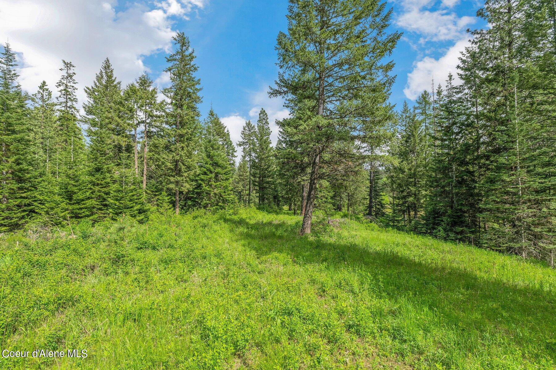 NNA Bronco Road, Worley, Idaho image 31