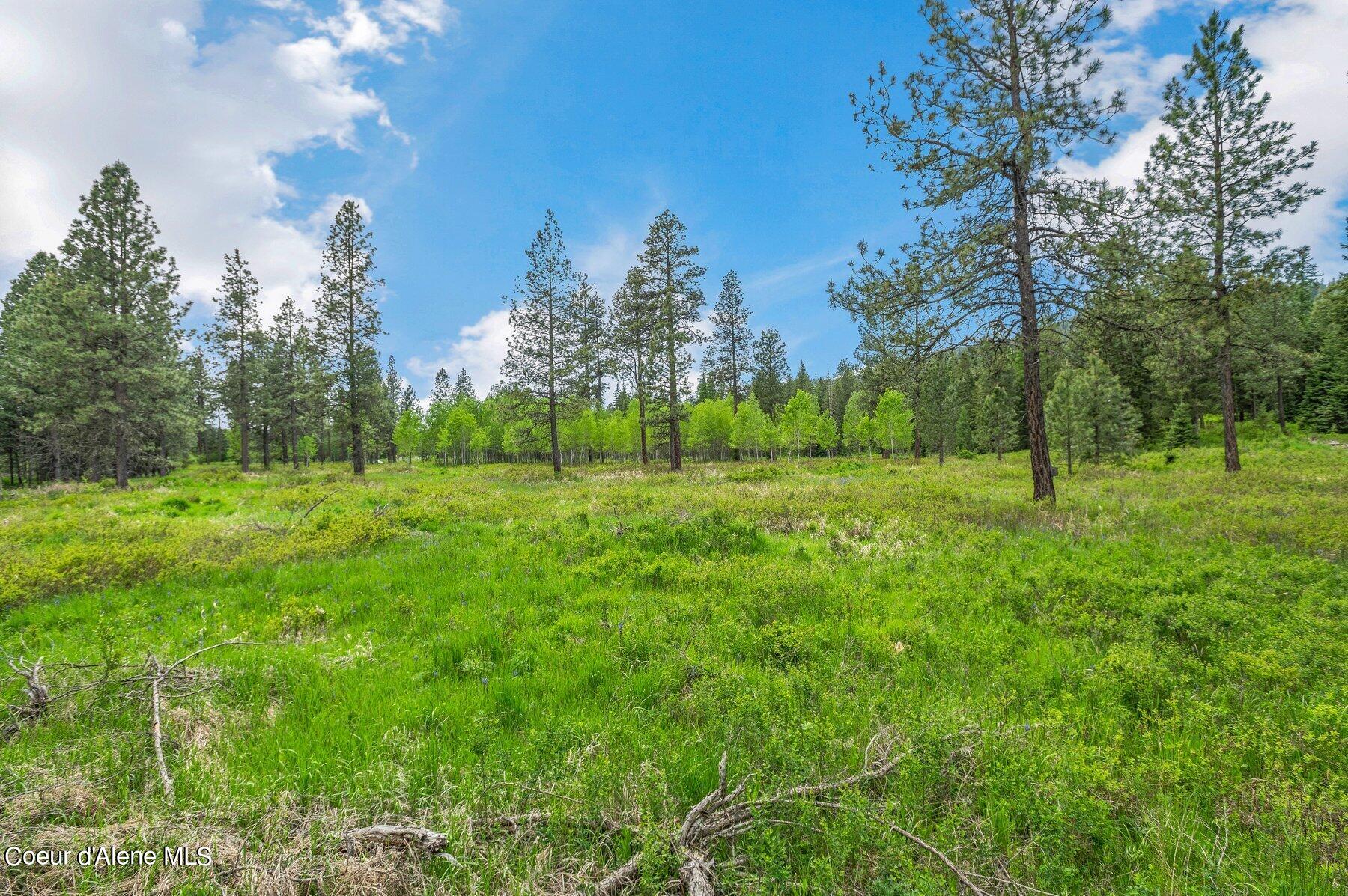 NNA Bronco Road, Worley, Idaho image 19