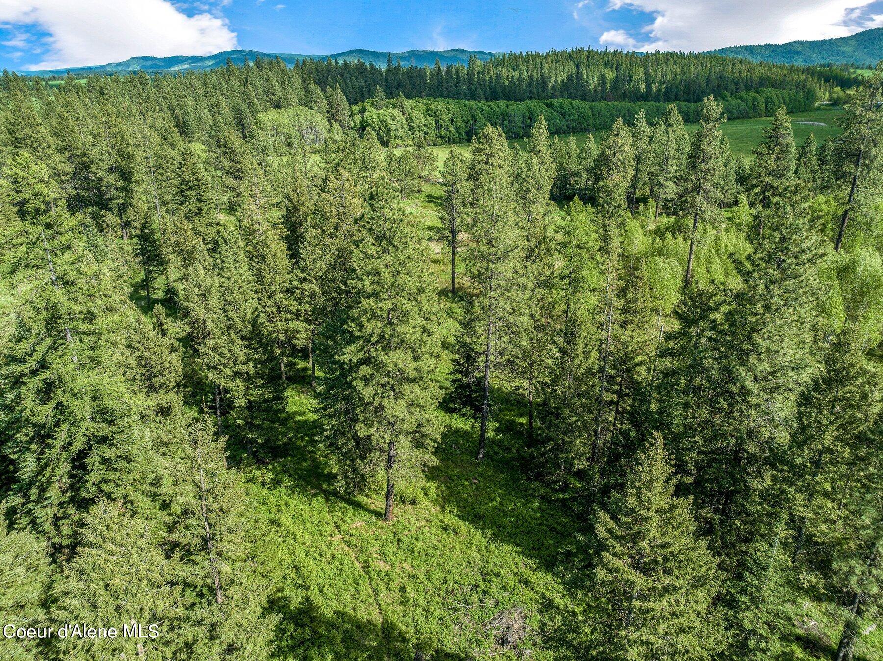 NNA Bronco Road, Worley, Idaho image 6