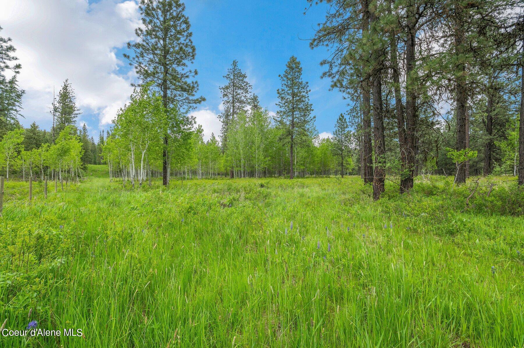 NNA Bronco Road, Worley, Idaho image 2