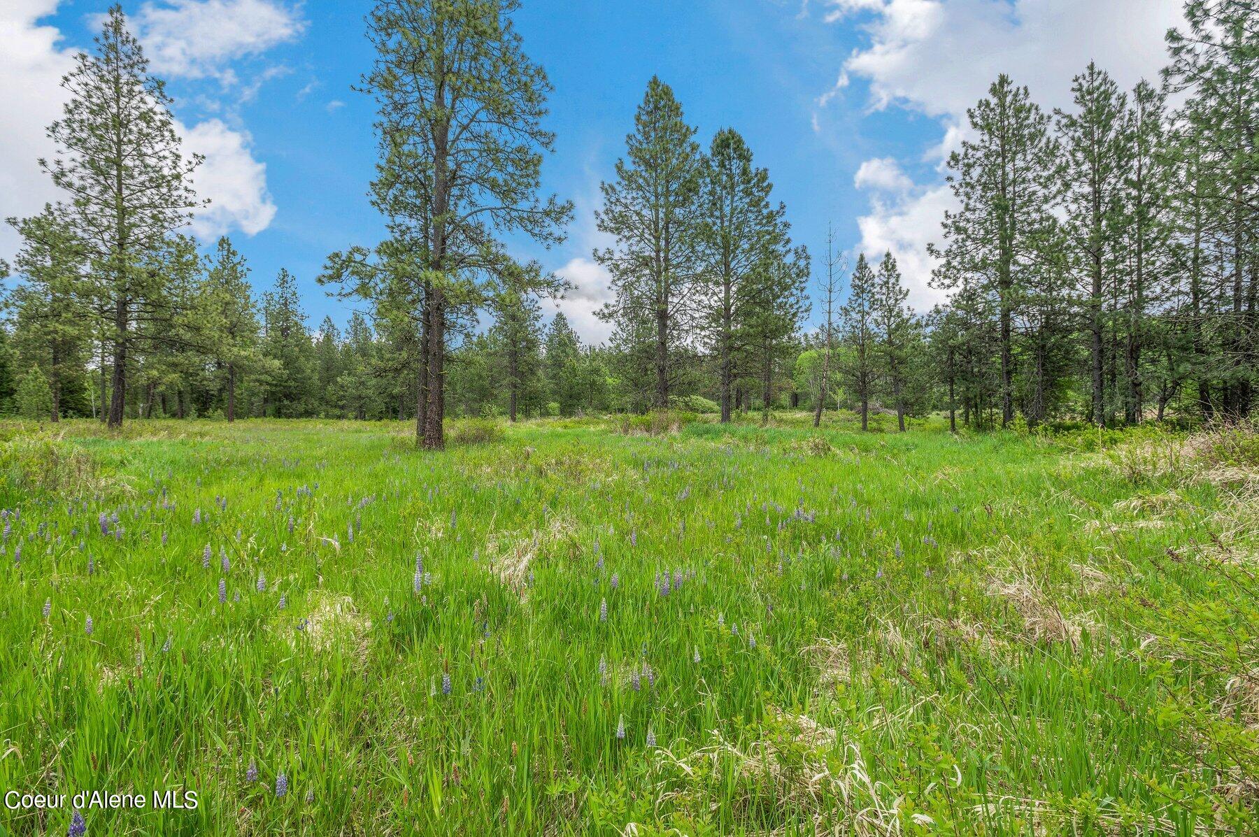 NNA Bronco Road, Worley, Idaho image 14