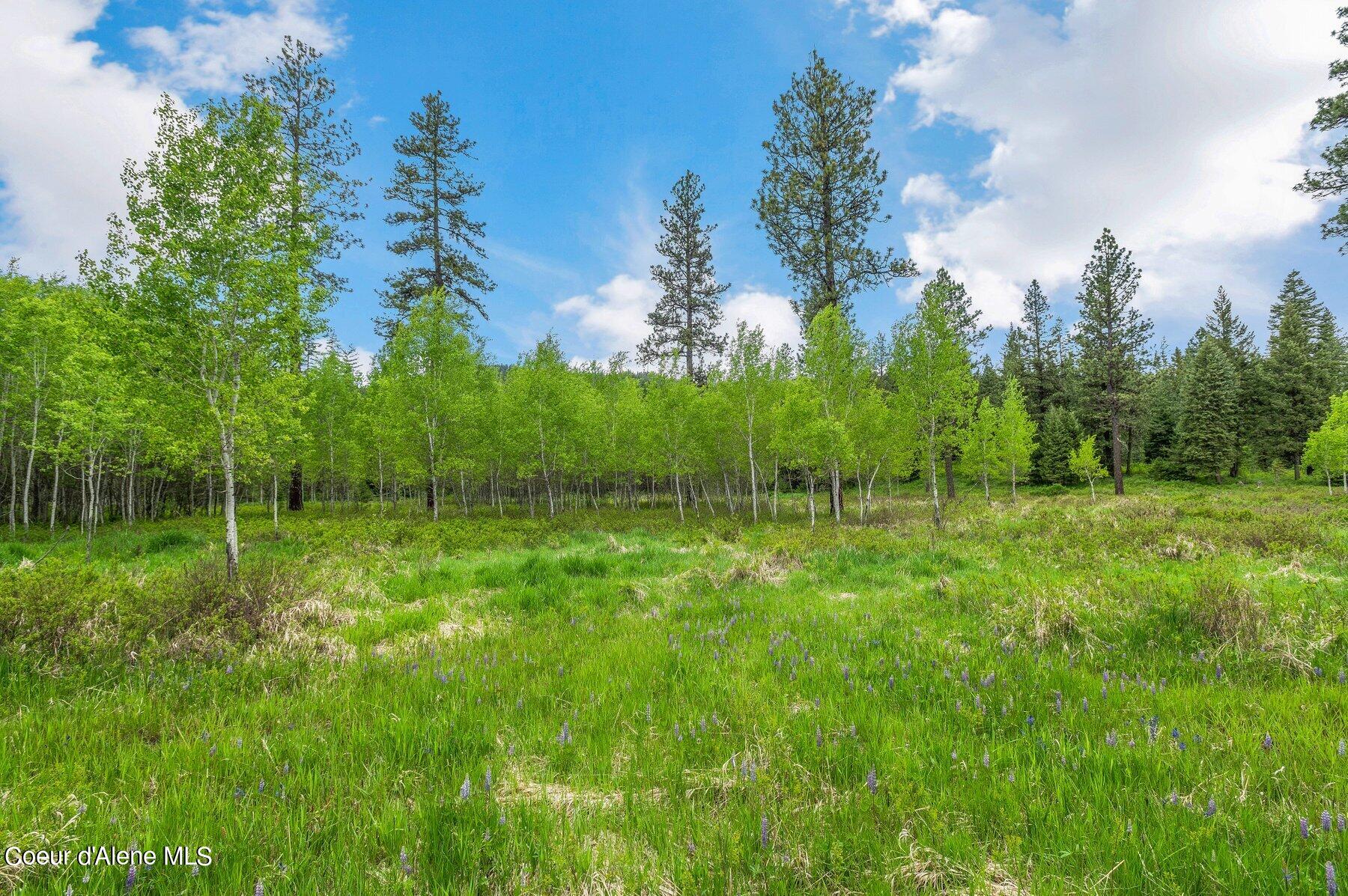 NNA Bronco Road, Worley, Idaho image 11