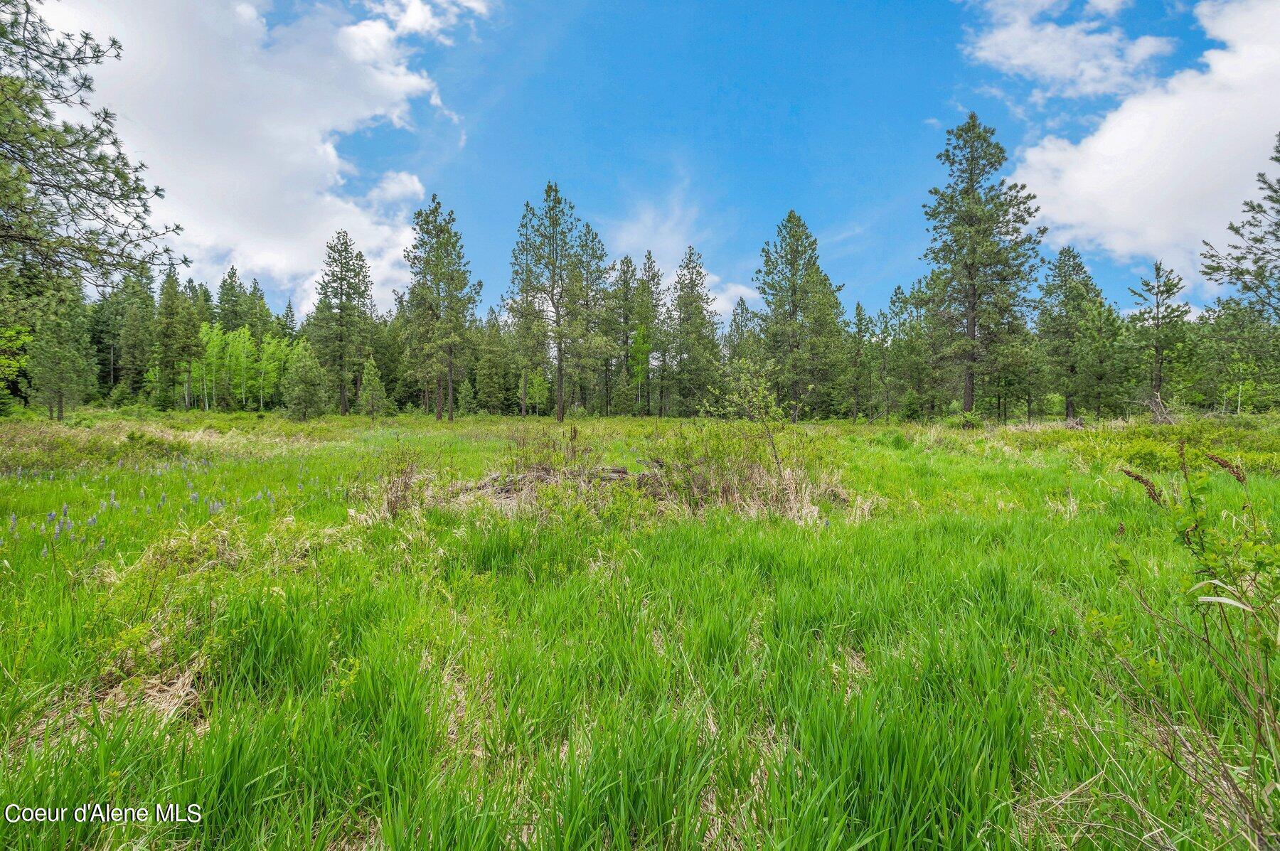 NNA Bronco Road, Worley, Idaho image 15