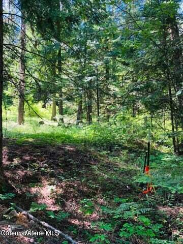 26692 S Junco Trail, St. Maries, Texas image 9