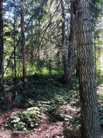 26692 S Junco Trail, St. Maries, Texas image 7