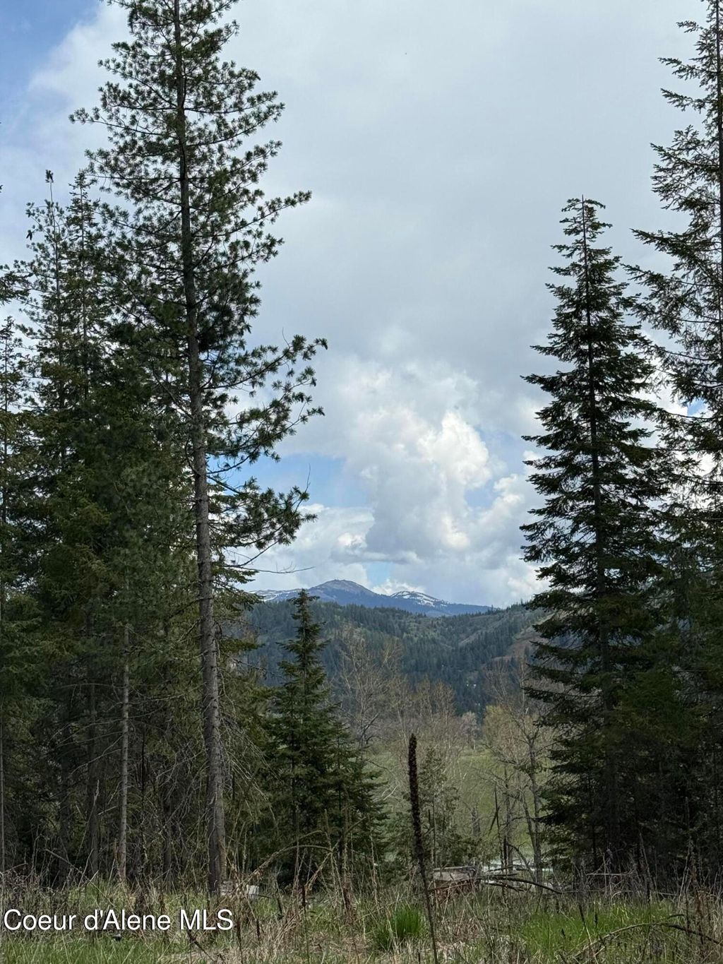 Photo of NKA St..Maries River Rd Lot #5, St. Maries, ID 83861 (MLS # 26-4288)