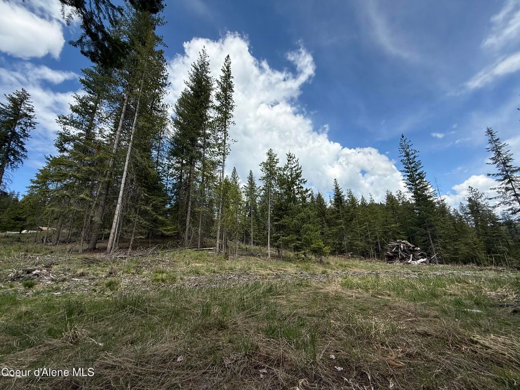Photo of NKA St..Maries River Rd Lot #5, St. Maries, ID 83861 (MLS # 26-4288)