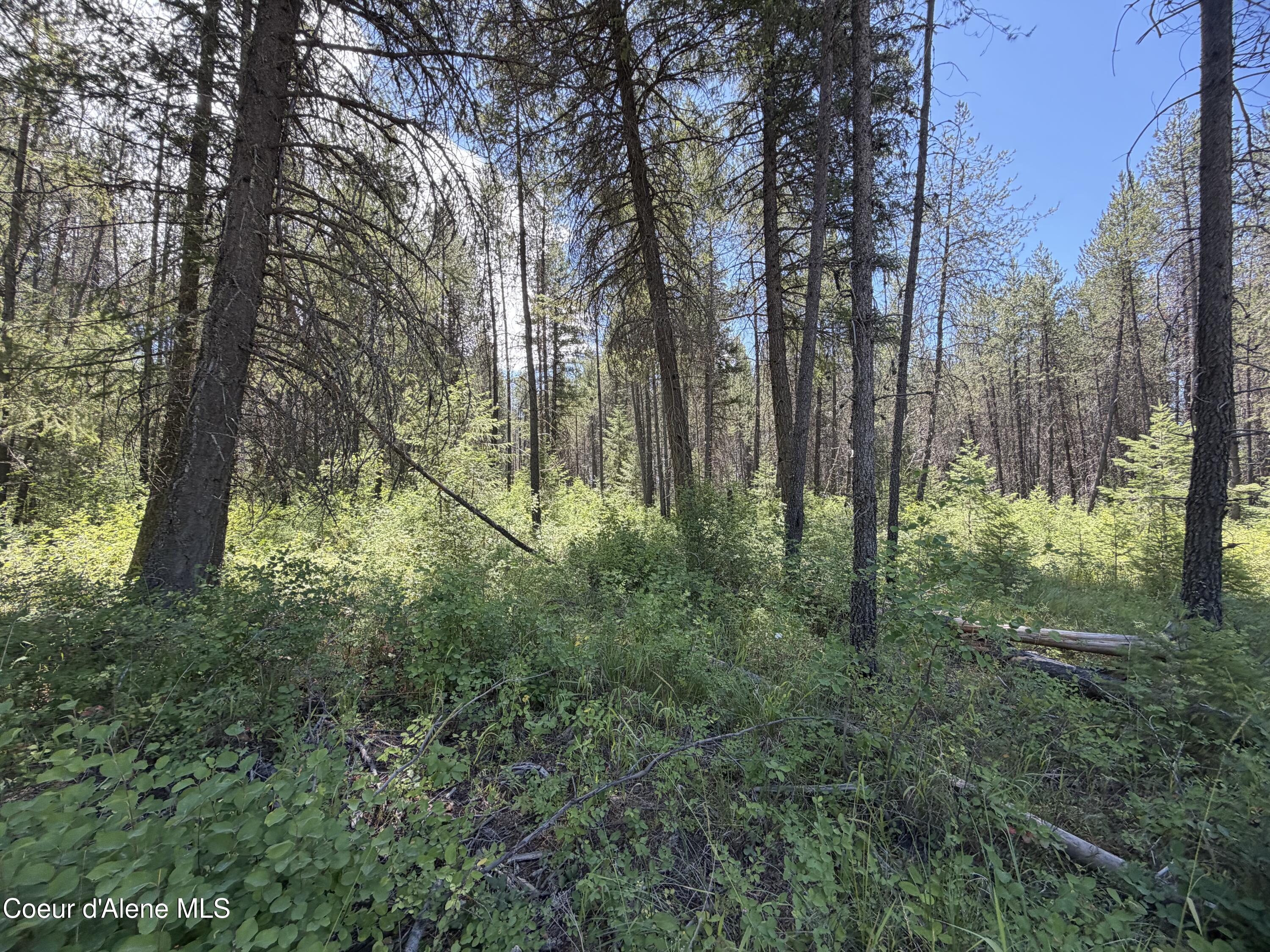 Photo 1 of 19 — 46 Ares, Priest River, ID 83856