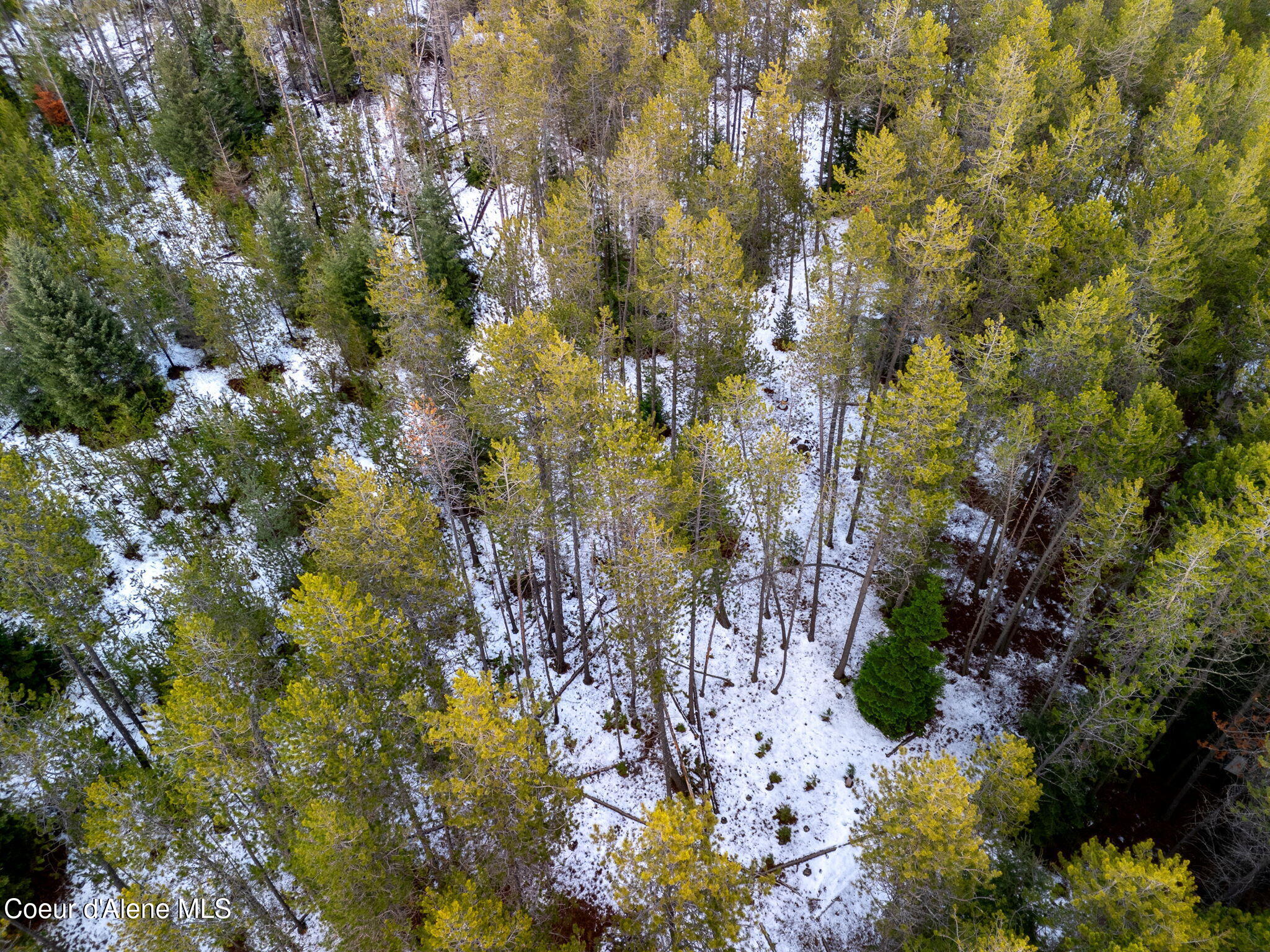 Nna Linzy Lane, Athol, Idaho image 13