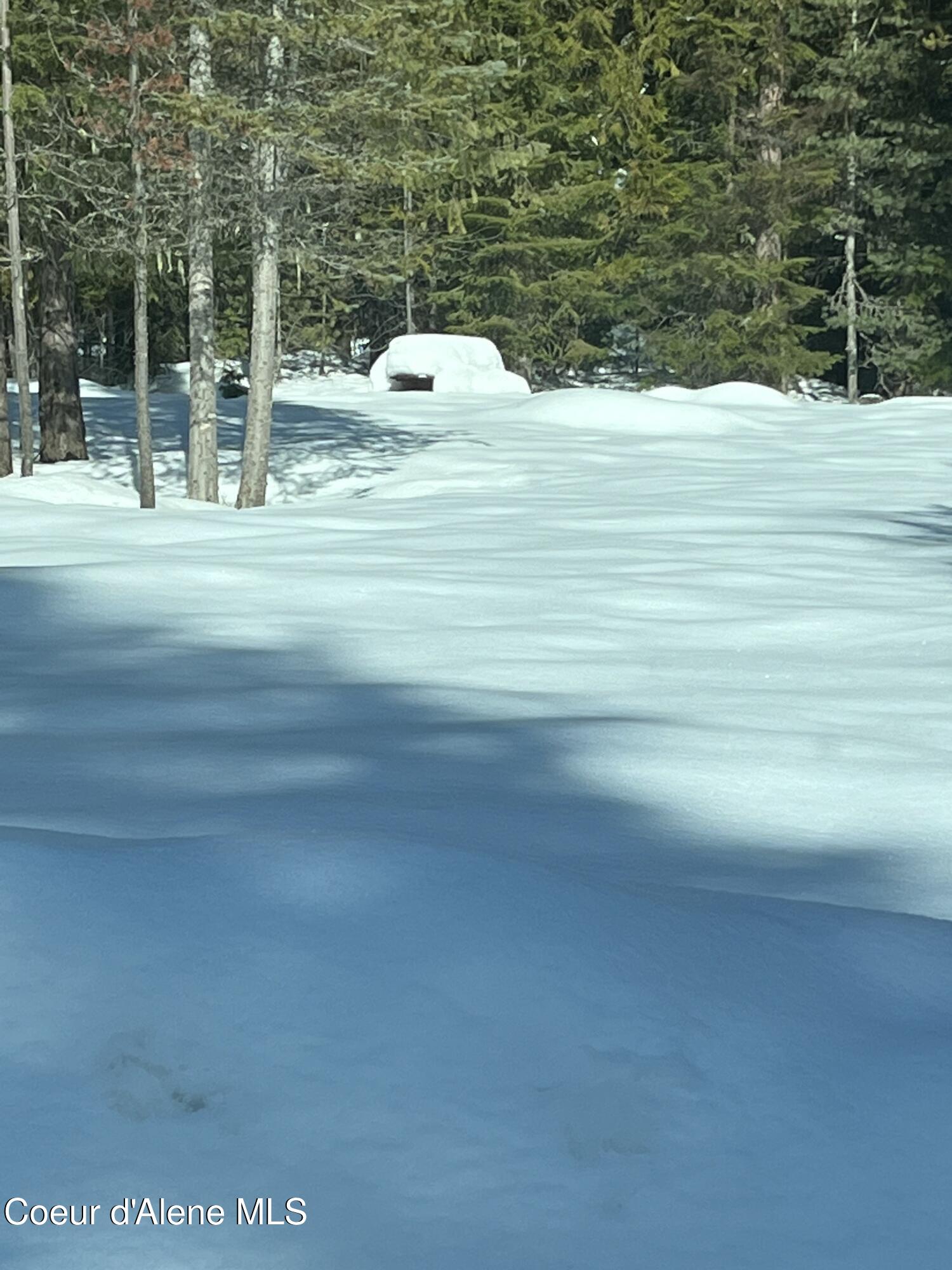 L25 Tracy Lane, Priest Lake, Alaska image 5
