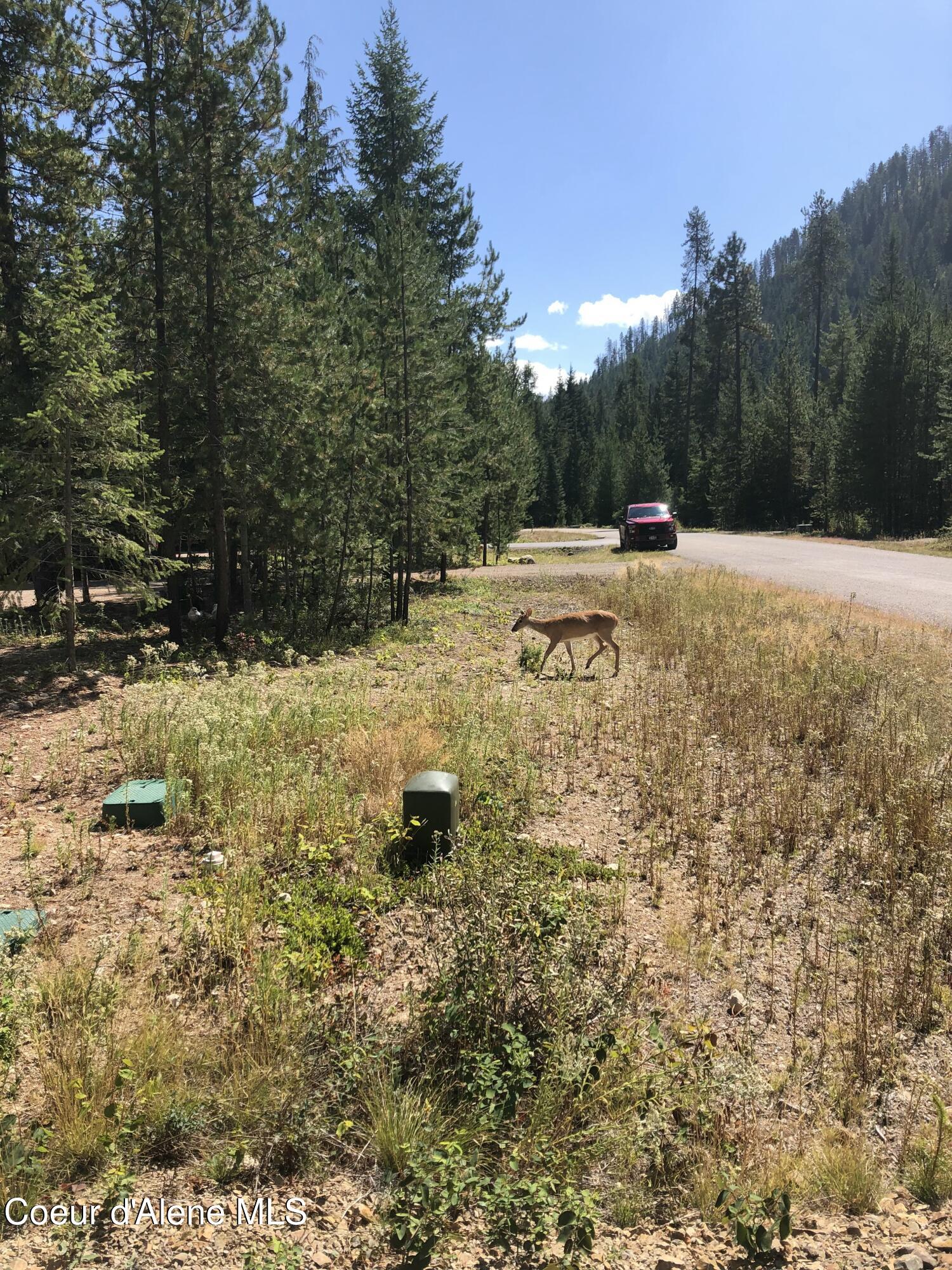 L25 Tracy Lane, Priest Lake, Alaska image 1