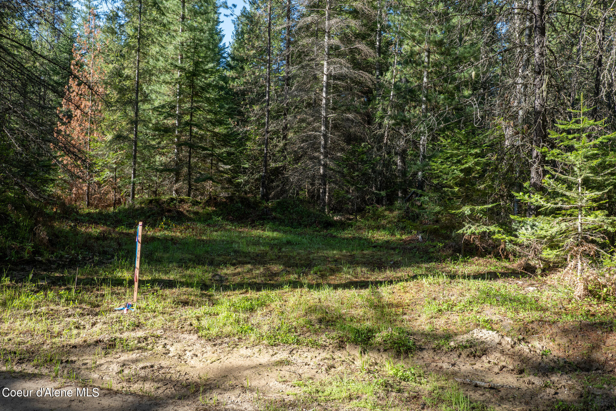 NKA Parcel Robinson Dr, Priest River, Alaska image 7