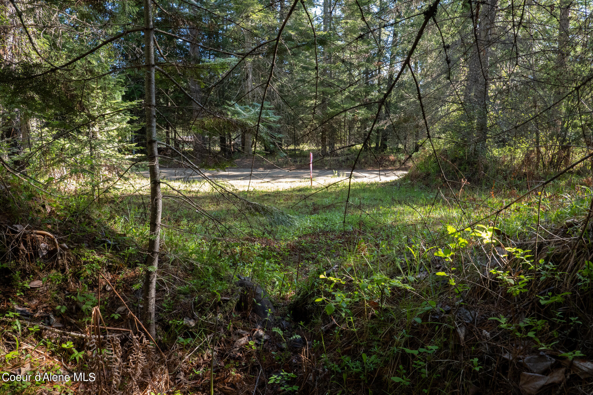 NKA Parcel Robinson Dr, Priest River, Alaska image 10